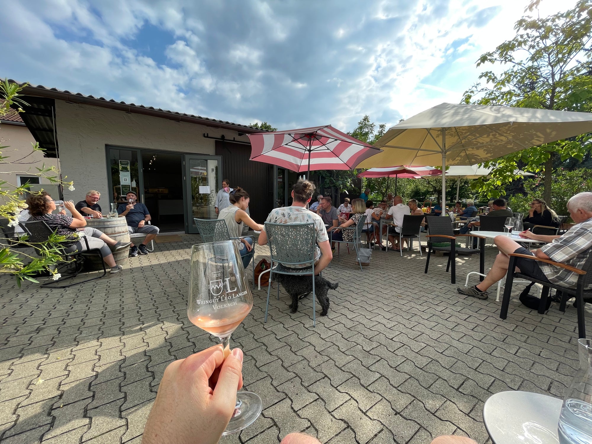 Campingplatz Tipp in Deutschland: Weingut Leo Langer