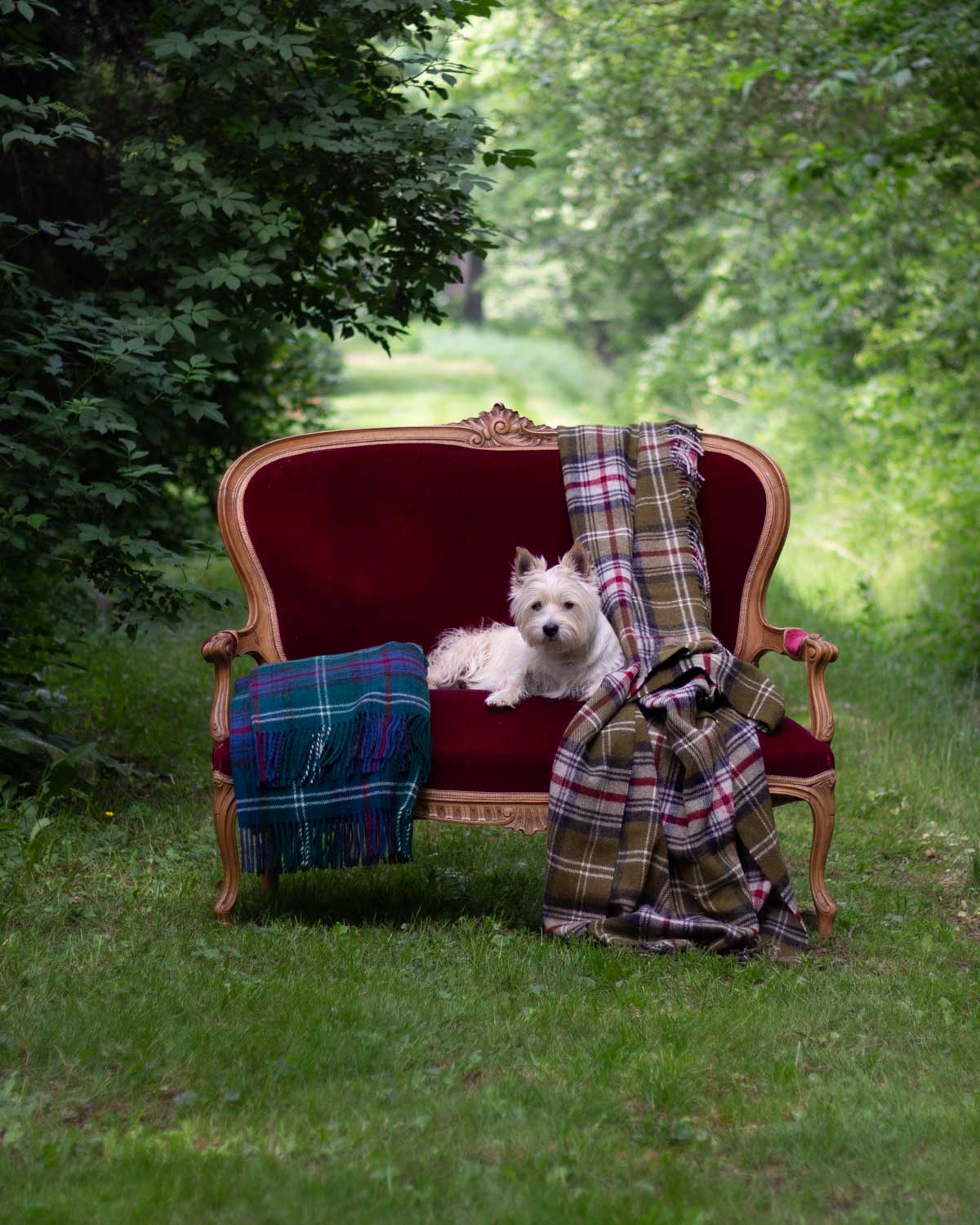 Woll-Tartan-Plaid Torridon Hills